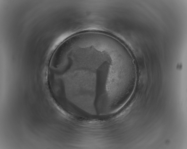 X0000097611367200802291252
