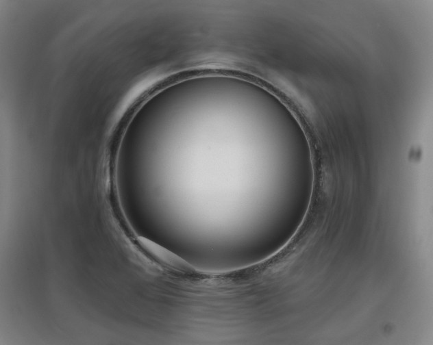 X0000097611368200802291252