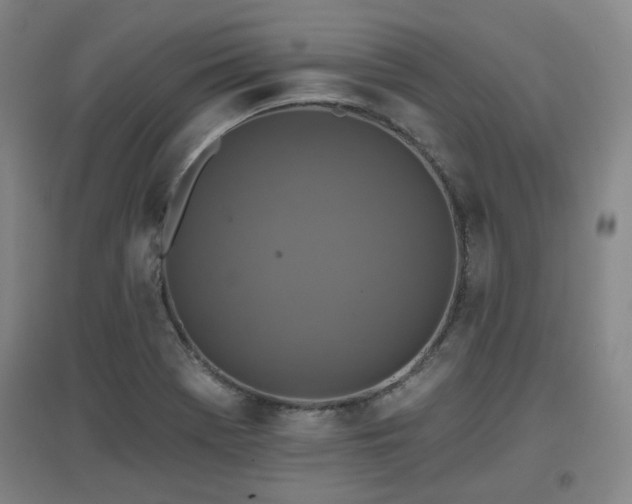 X0000097611369200802291252