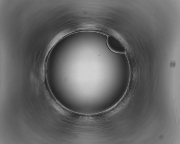 X0000097611370200802291252