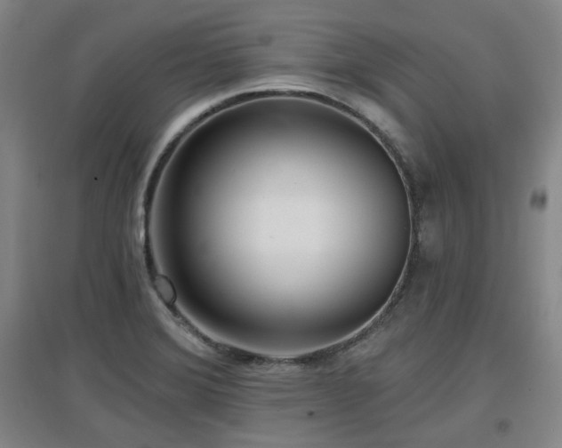 X0000097611372200802291252