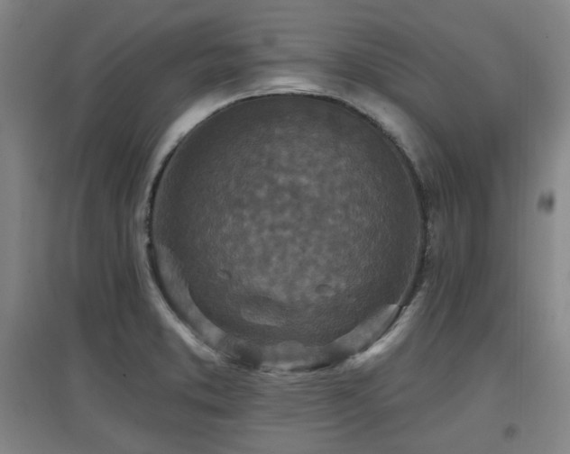 X0000097611373200802291252