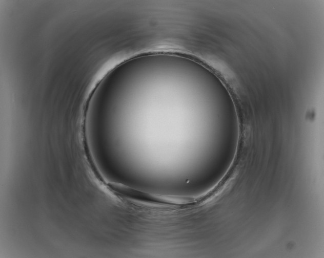 X0000097611374200802291252