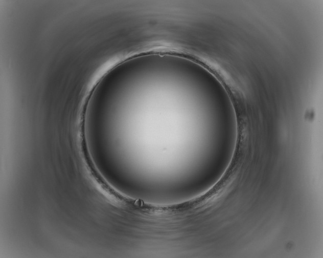 X0000097611375200802291252