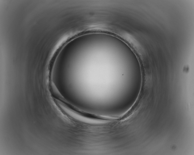 X0000097611376200802291252