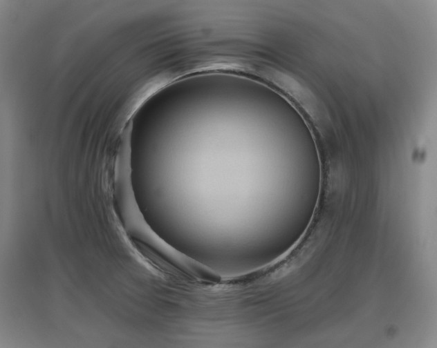 X0000097611377200802291252