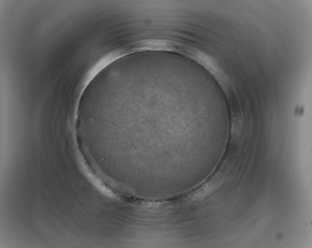 X0000097611378200802291252