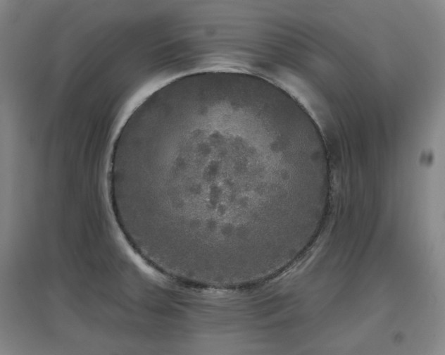 X0000097611379200802291252