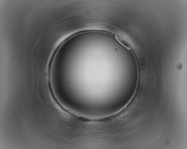 X0000097611380200802291252