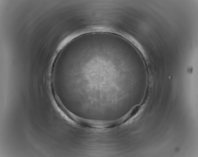 X0000097611381200802291252