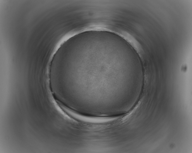 X0000097611382200802291252