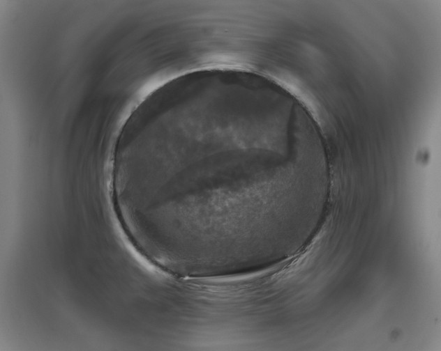 X0000097611383200802291252