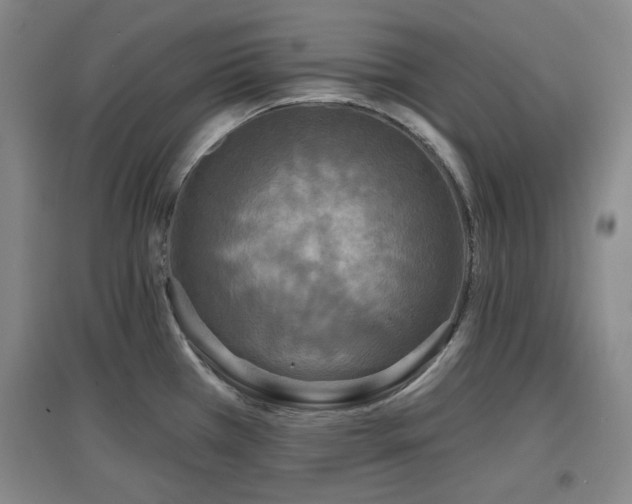 X0000097611385200802291252