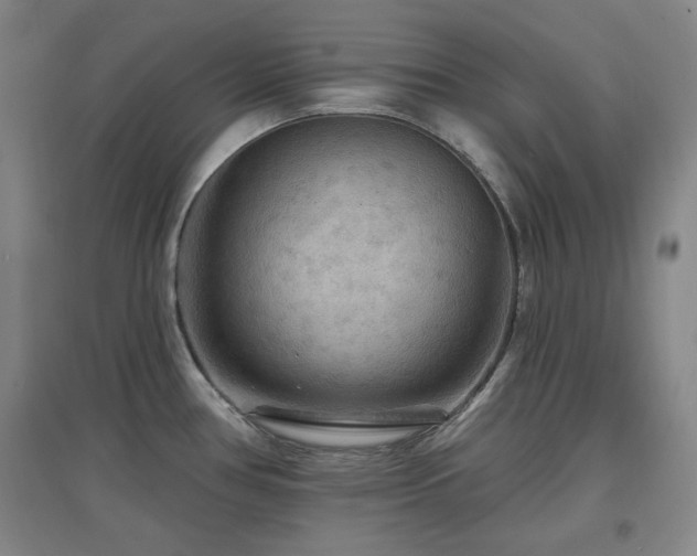 X0000097611386200802291252
