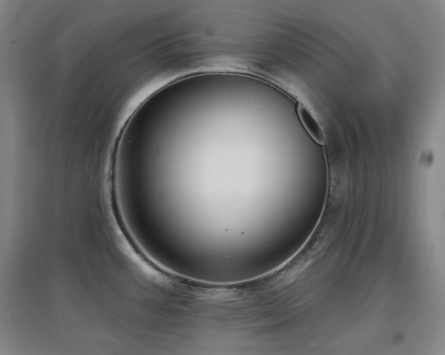X0000097611387200802291252