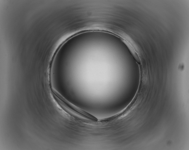X0000097611388200802291252
