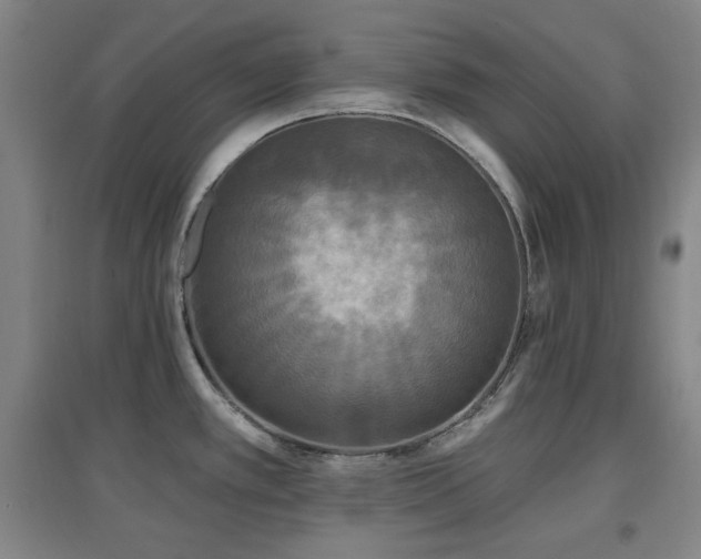 X0000097611389200802291252