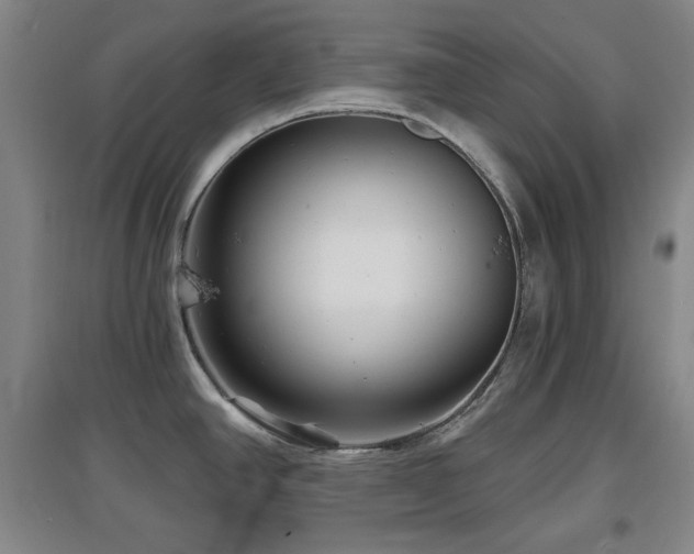 X0000097611390200802291252