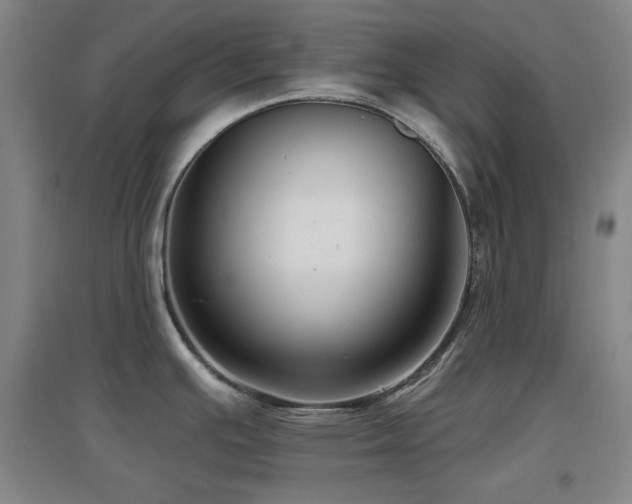 X0000097611391200802291252