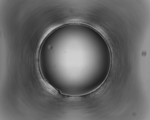 X0000097611392200802291251