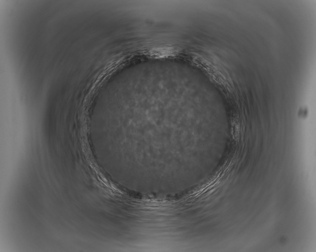 X0000097611393200802291251