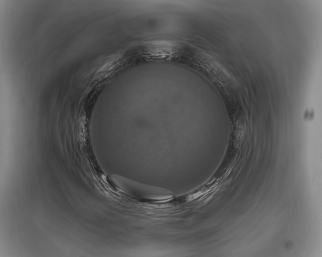 X0000097611394200802291251
