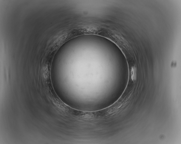X0000097611395200802291251