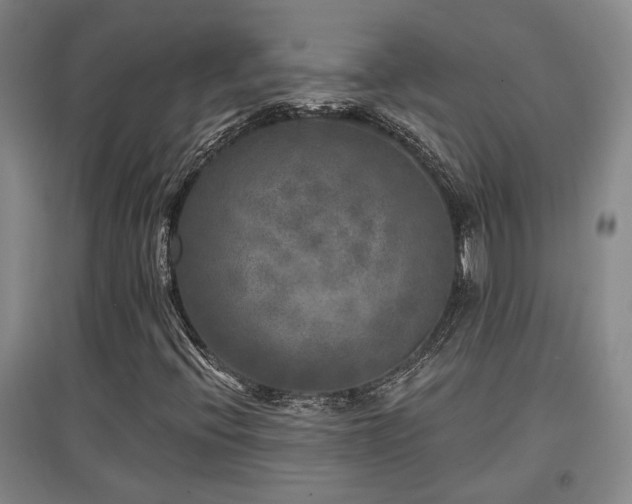 X0000097611396200802291251