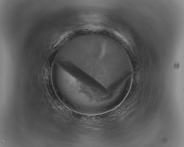 X0000097611397200802291251