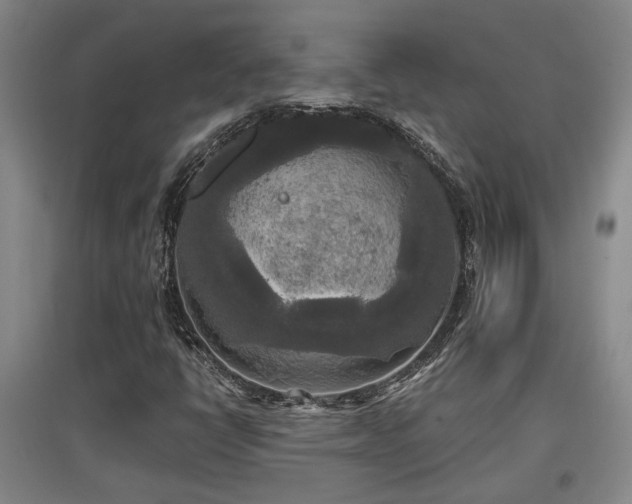 X0000097611398200802291251
