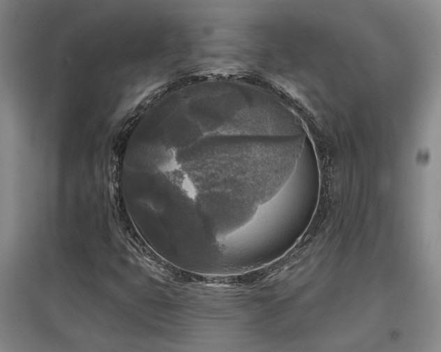 X0000097611399200802291251