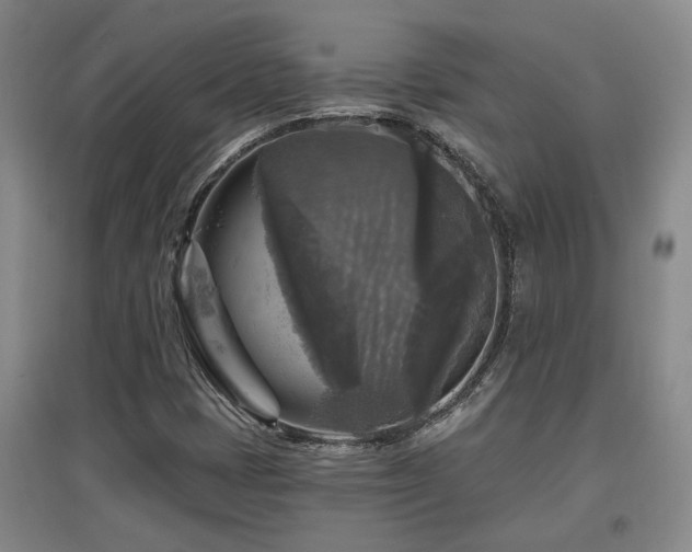 X0000097611401200802291251