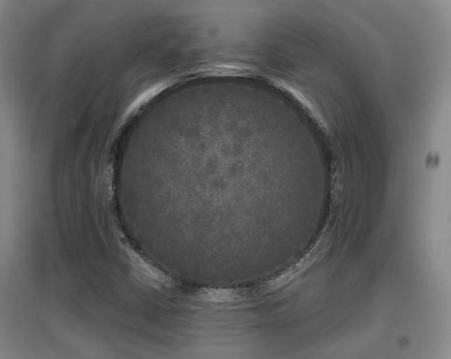 X0000097611402200802291251
