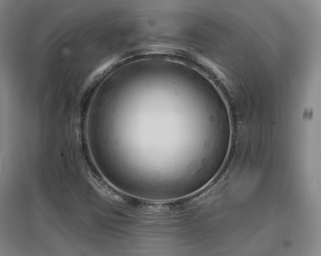 X0000097611403200802291251