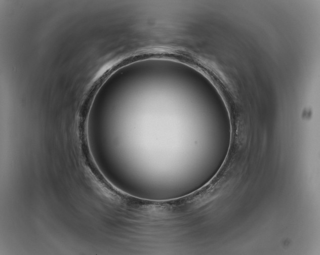 X0000097611404200802291251