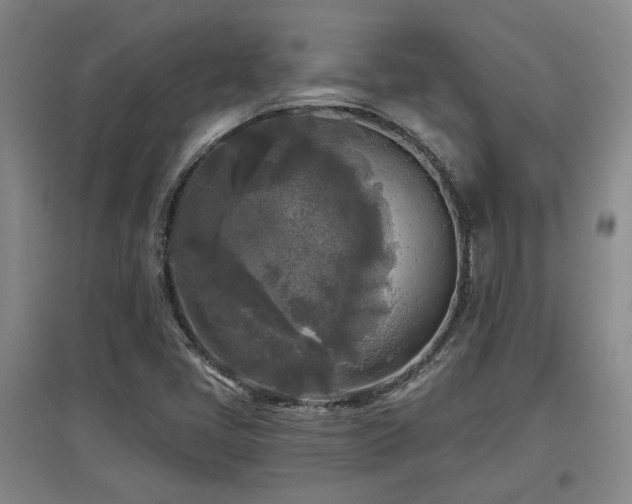 X0000097611405200802291251