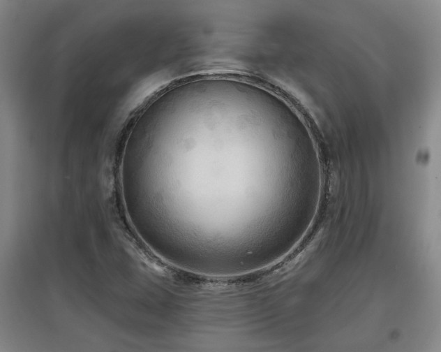 X0000097611407200802291251