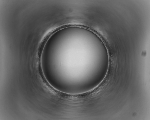 X0000097611408200802291251