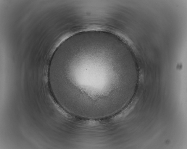 X0000097611409200802291251