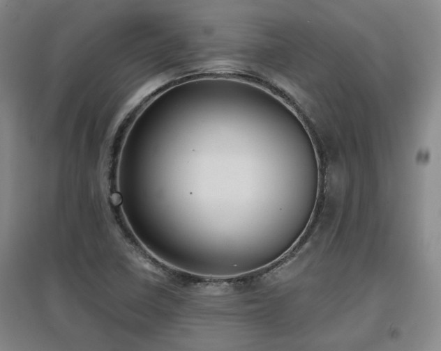 X0000097611410200802291251