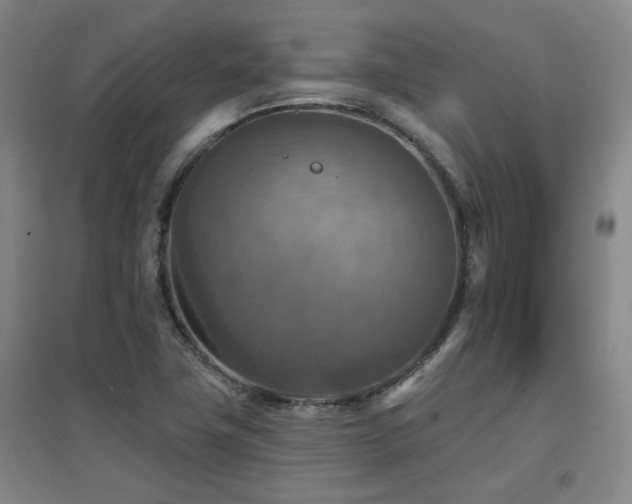X0000097611411200802291251