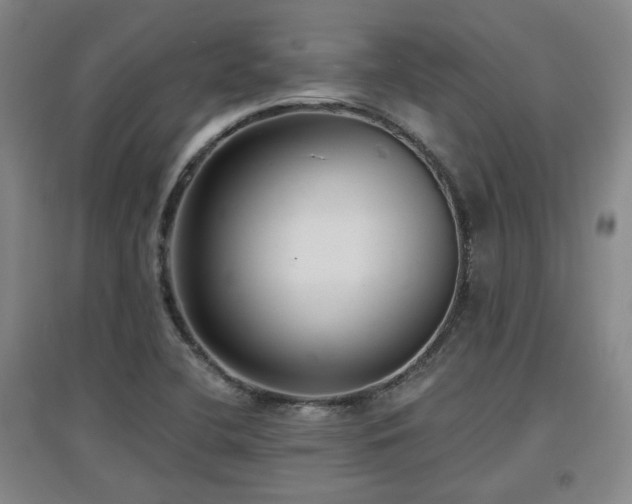X0000097611412200802291251