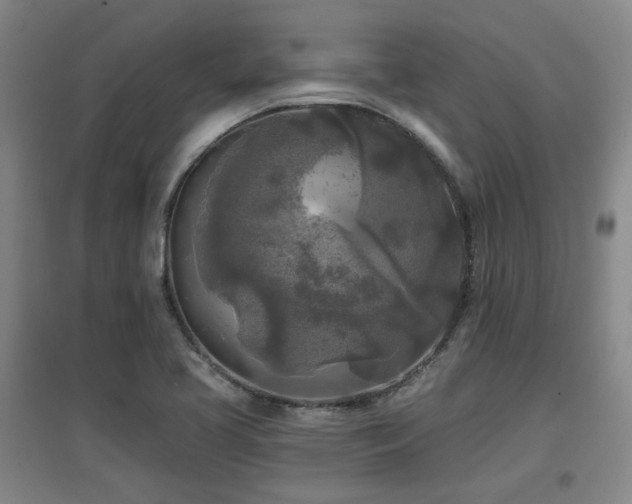 X0000097611413200802291251