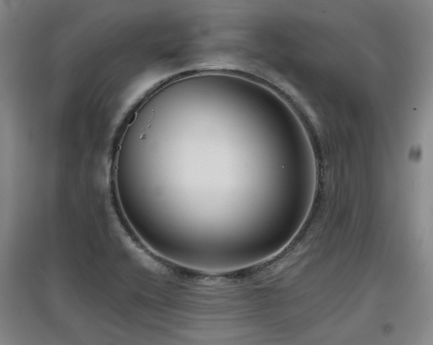 X0000097611416200802291251