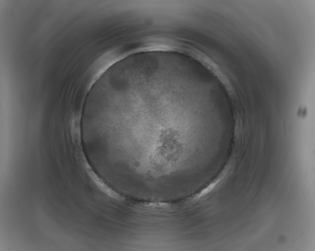X0000097611417200802291251