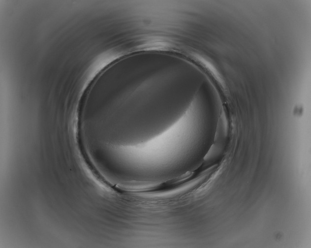 X0000097611418200802291251