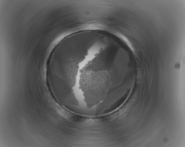 X0000097611419200802291251