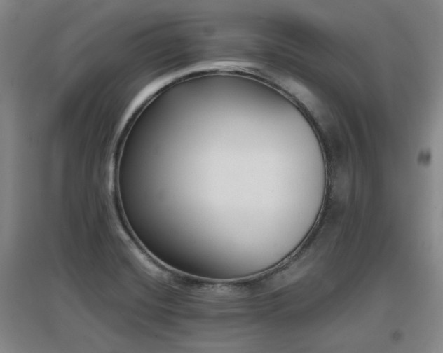 X0000097611420200802291251