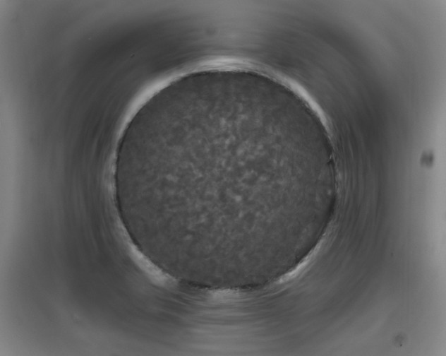 X0000097611421200802291251