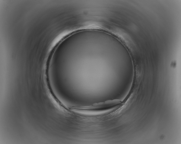 X0000097611422200802291251